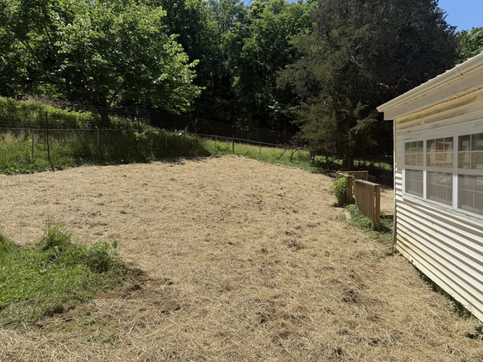 Freshly graded yard seeded and covered with straw for new grass