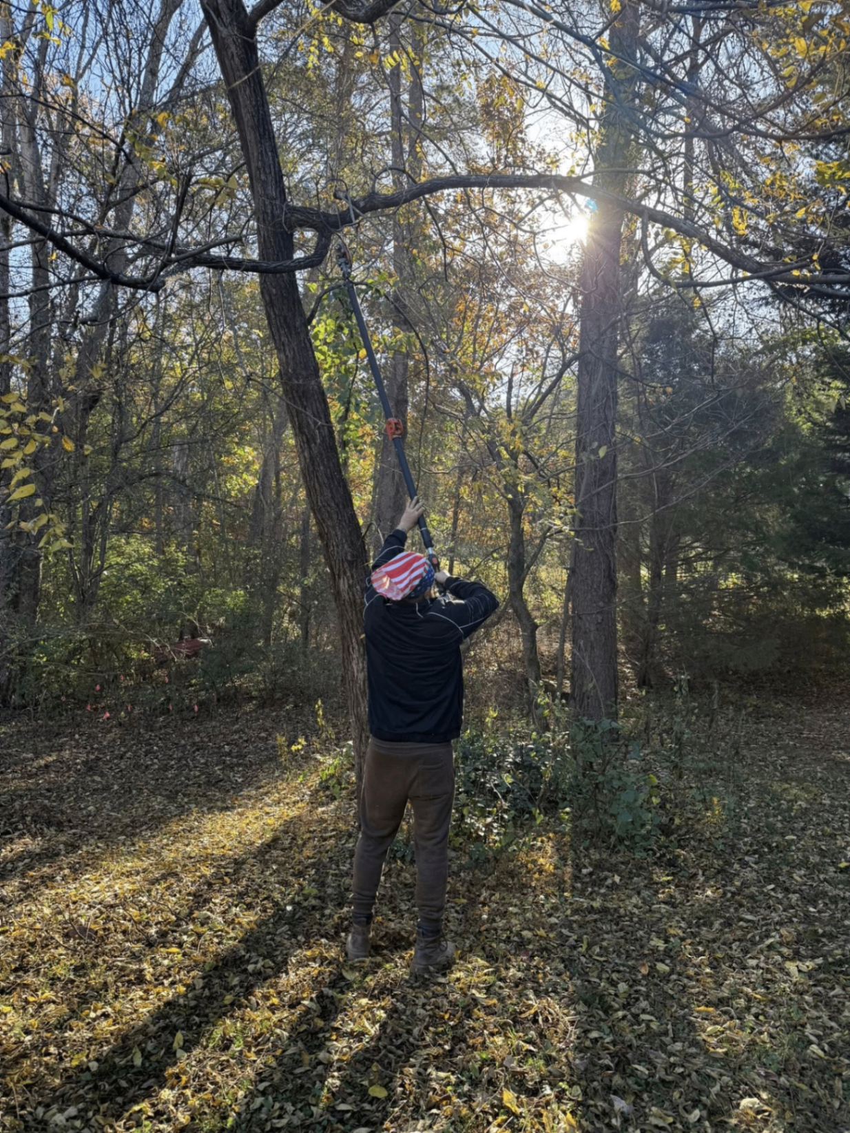 Crew member trimming high tree limbs with a pole saw on a wooded lot